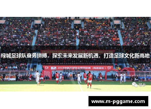 绿城足球队奋勇拼搏，探索未来发展新机遇，打造足球文化新高地
