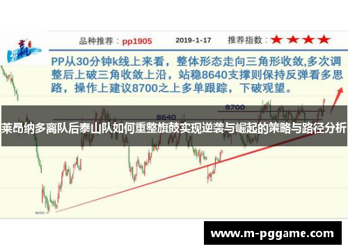 莱昂纳多离队后泰山队如何重整旗鼓实现逆袭与崛起的策略与路径分析