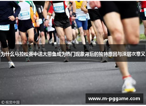 为什么马拉松赛中送大带鱼成为热门现象背后的独特原因与深层次意义
