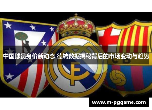 中国球员身价新动态 德转数据揭秘背后的市场变动与趋势