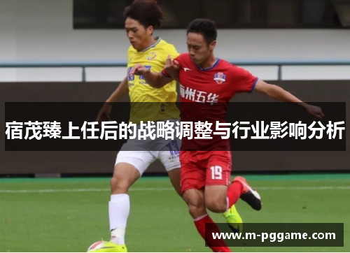 宿茂臻上任后的战略调整与行业影响分析