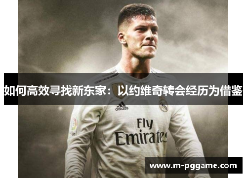 如何高效寻找新东家：以约维奇转会经历为借鉴