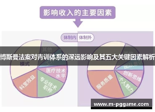 博斯曼法案对青训体系的深远影响及其五大关键因素解析